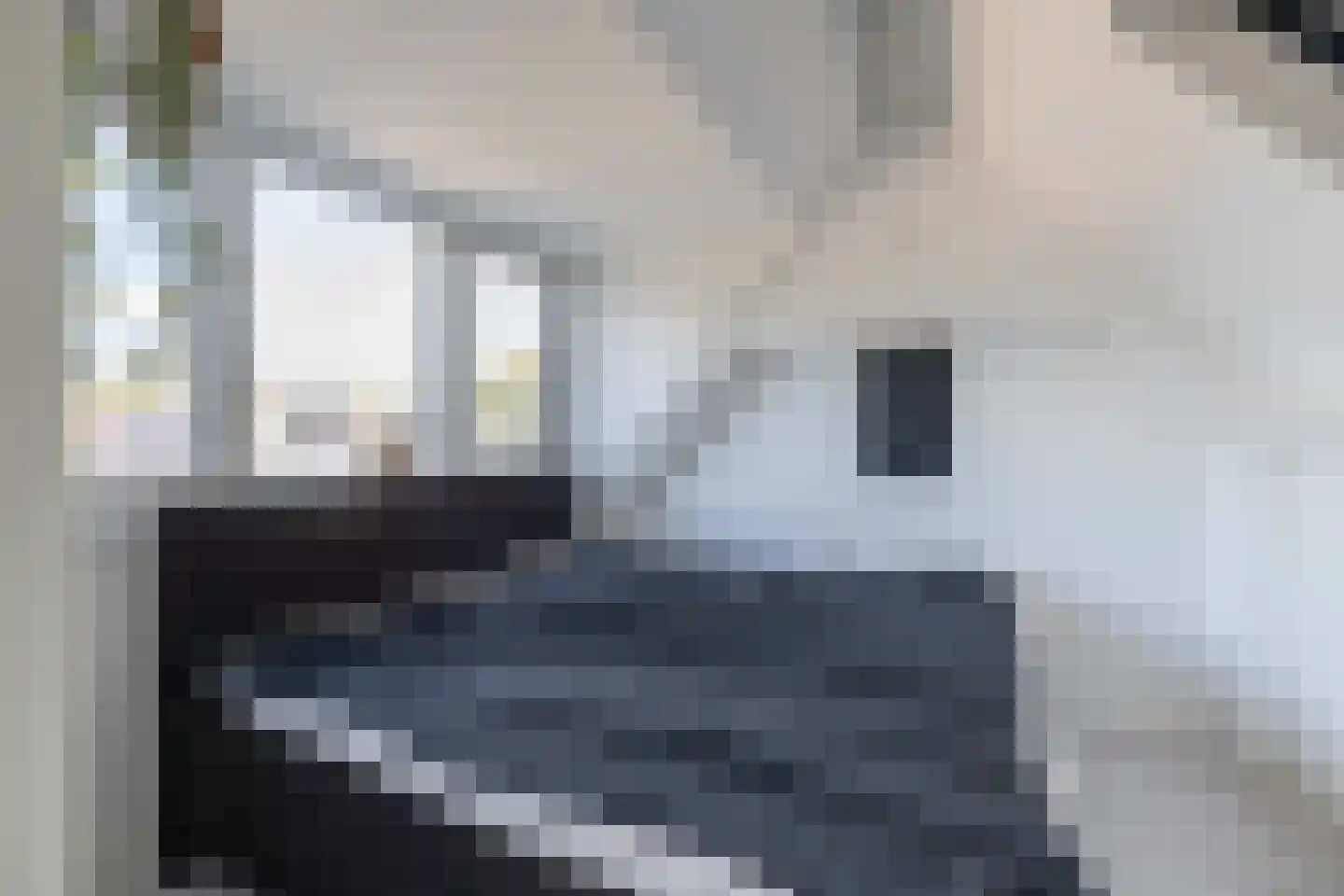 De Sperwer 1 Almelo thumbnail 27