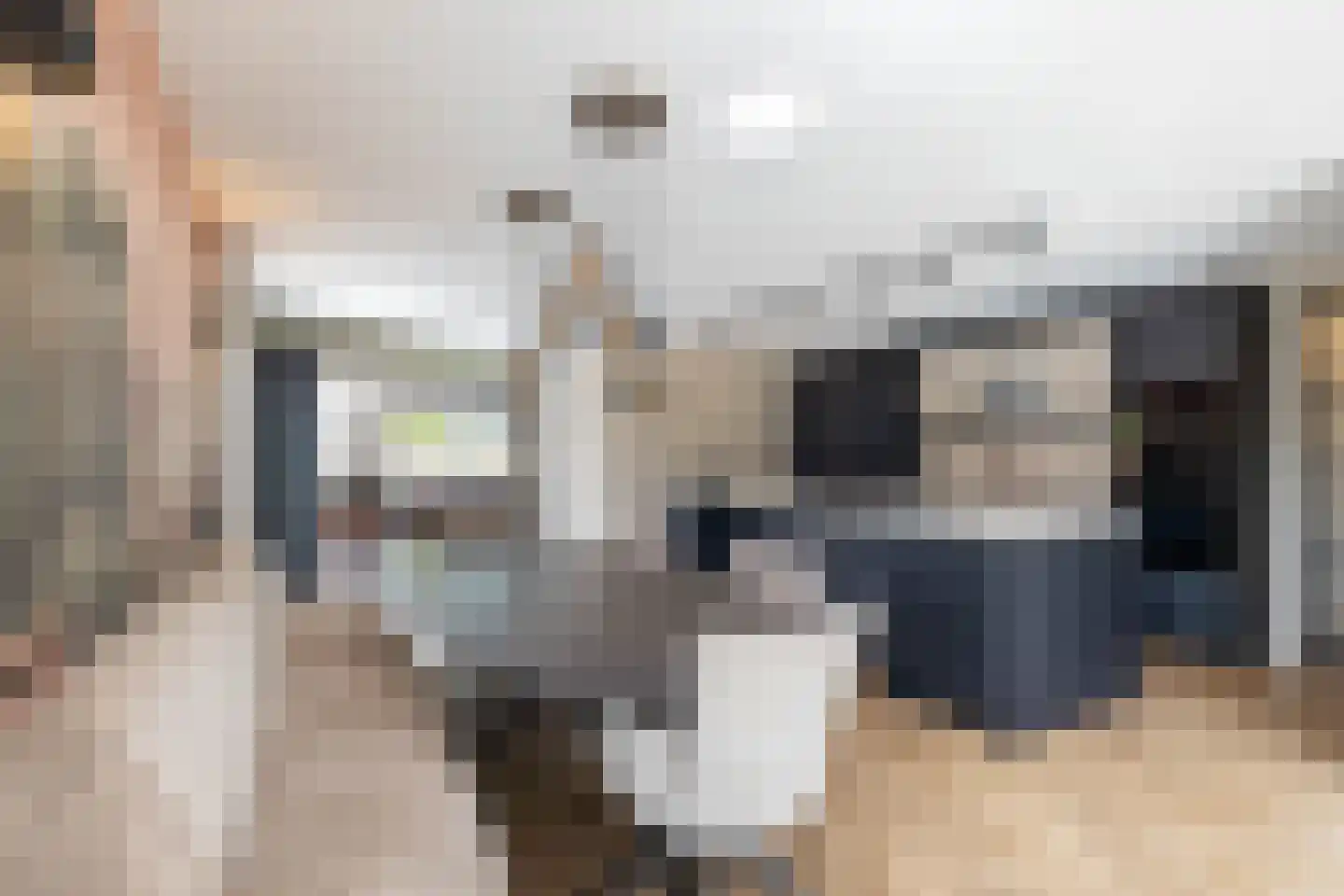 De Sperwer 1 Almelo thumbnail 4