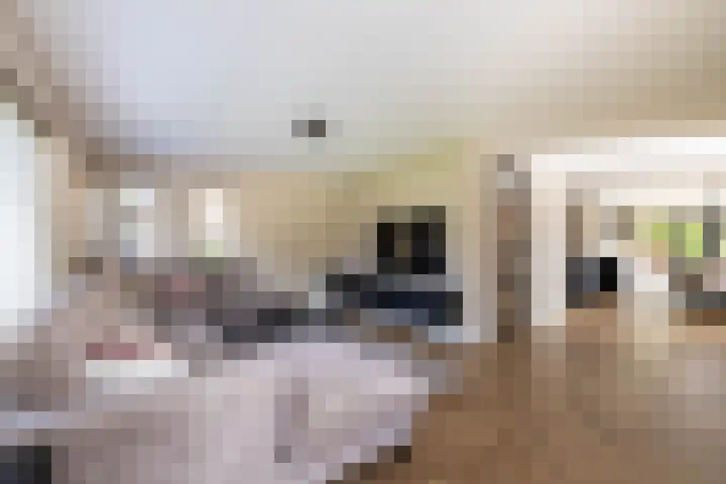 De Sperwer 1 Almelo thumbnail 7