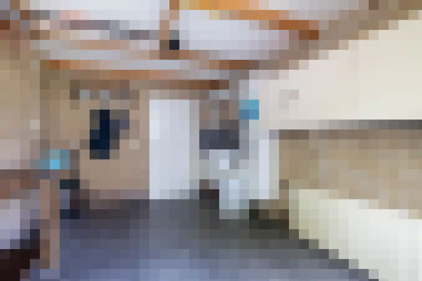De Sperwer 2 Almelo thumbnail 16