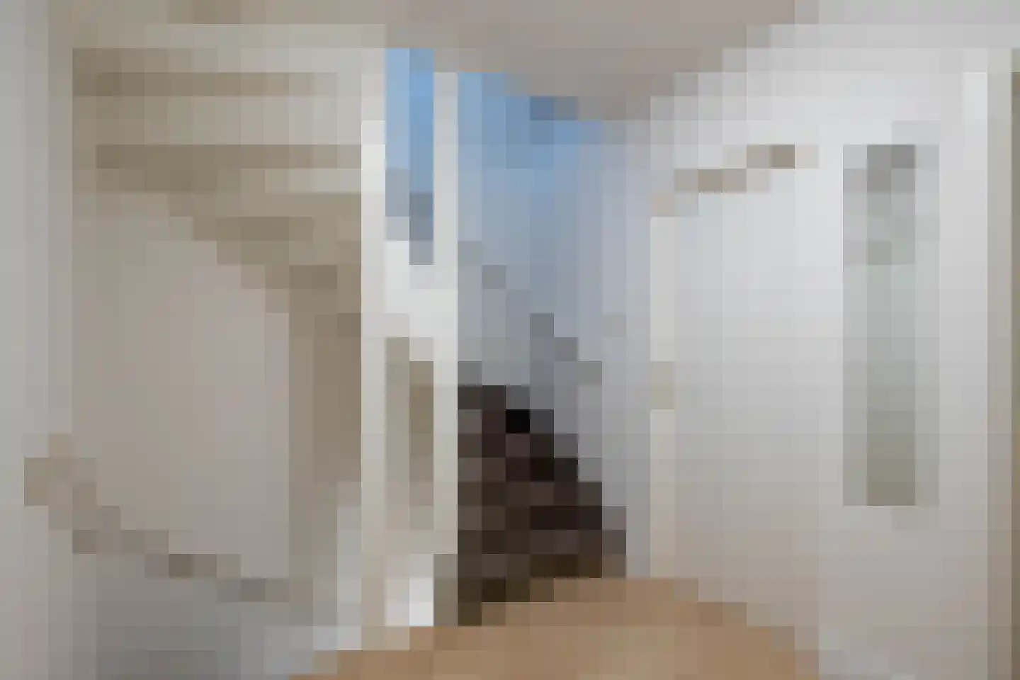 De Sperwer 2 Almelo thumbnail 17