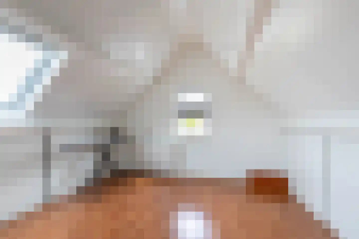 De Sperwer 2 Almelo thumbnail 27