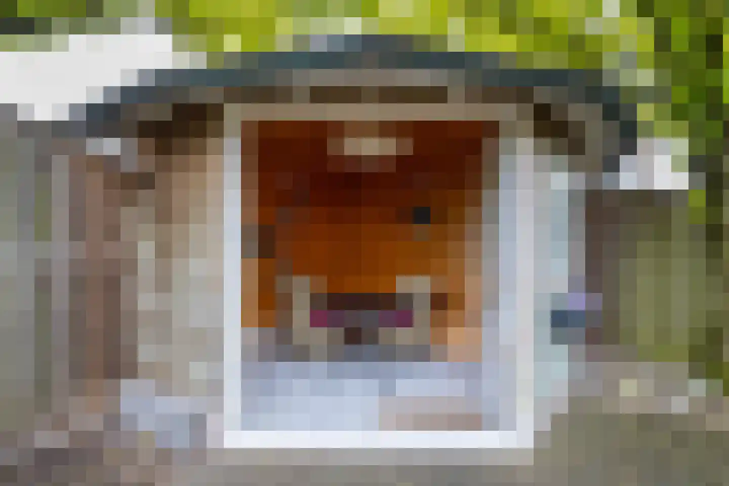 De Sperwer 2 Almelo thumbnail 30