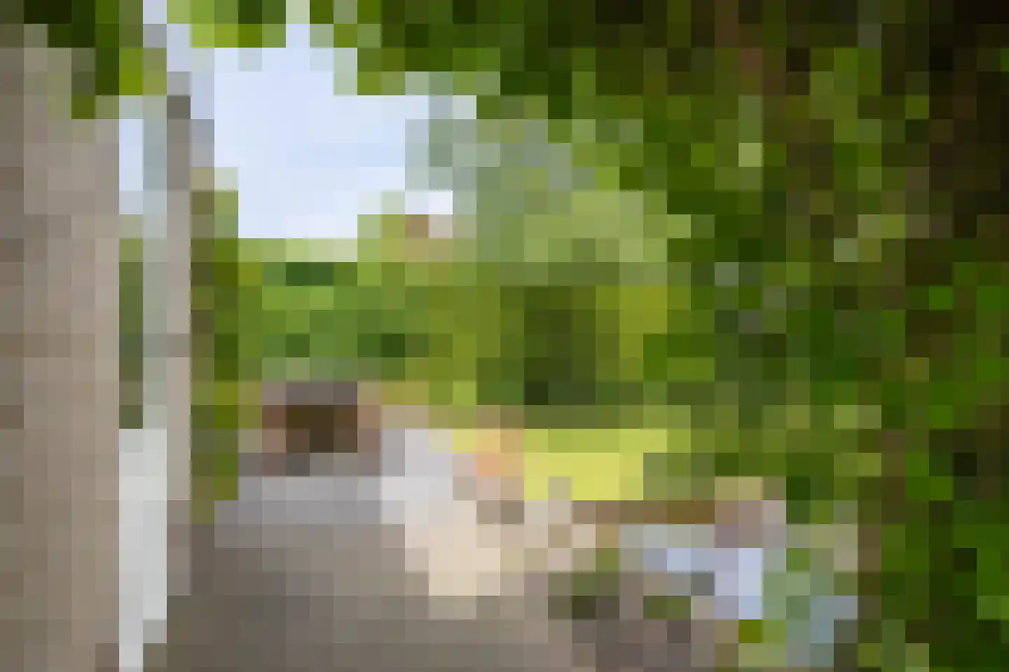 De Sperwer 2 Almelo thumbnail 33