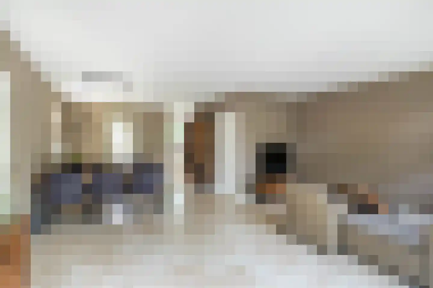 De Sperwer 2 Almelo thumbnail 4