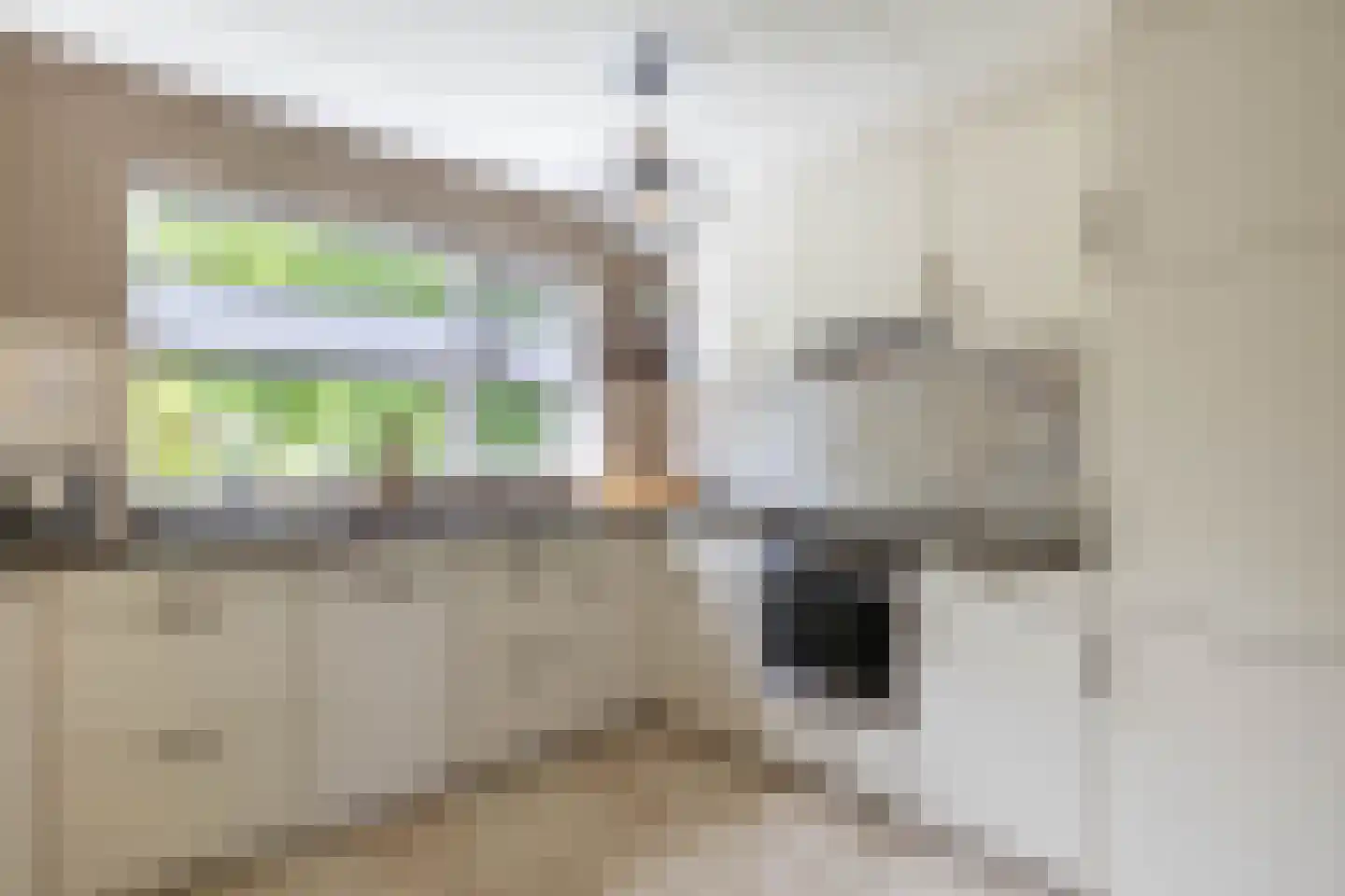 De Sperwer 2 Almelo thumbnail 5