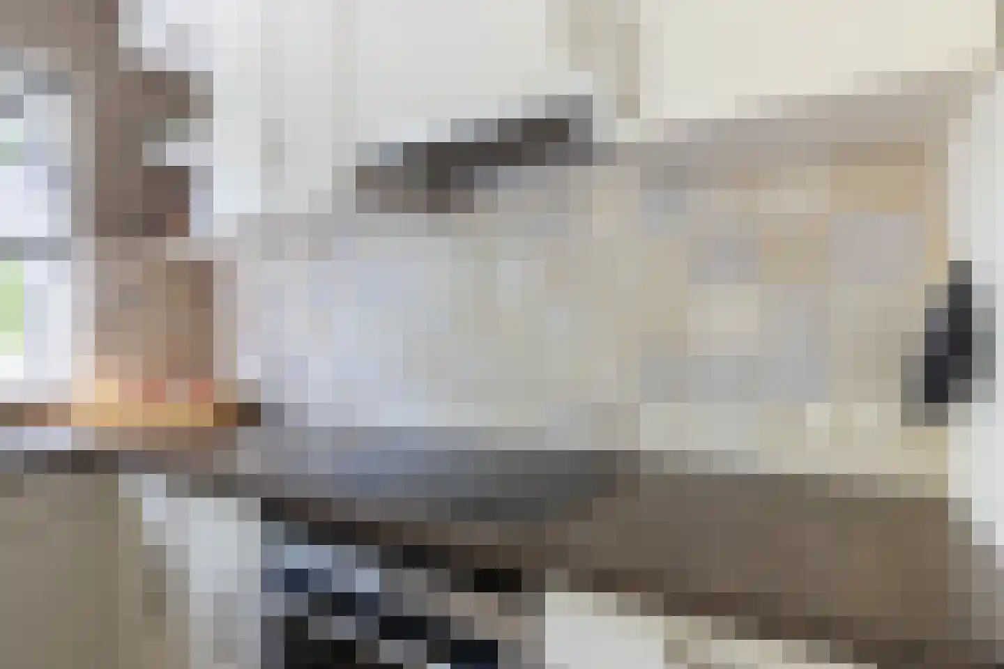 De Sperwer 2 Almelo thumbnail 8