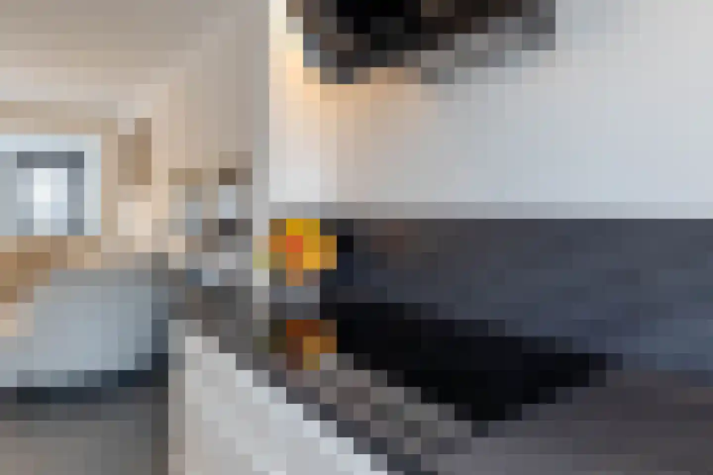 De Sperwer 21 Almelo thumbnail 10