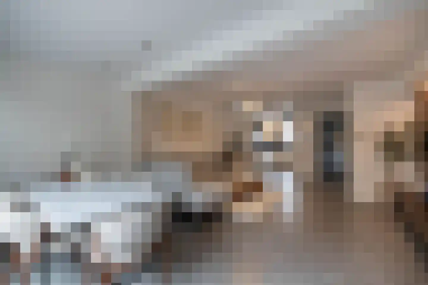 De Sperwer 21 Almelo thumbnail 12