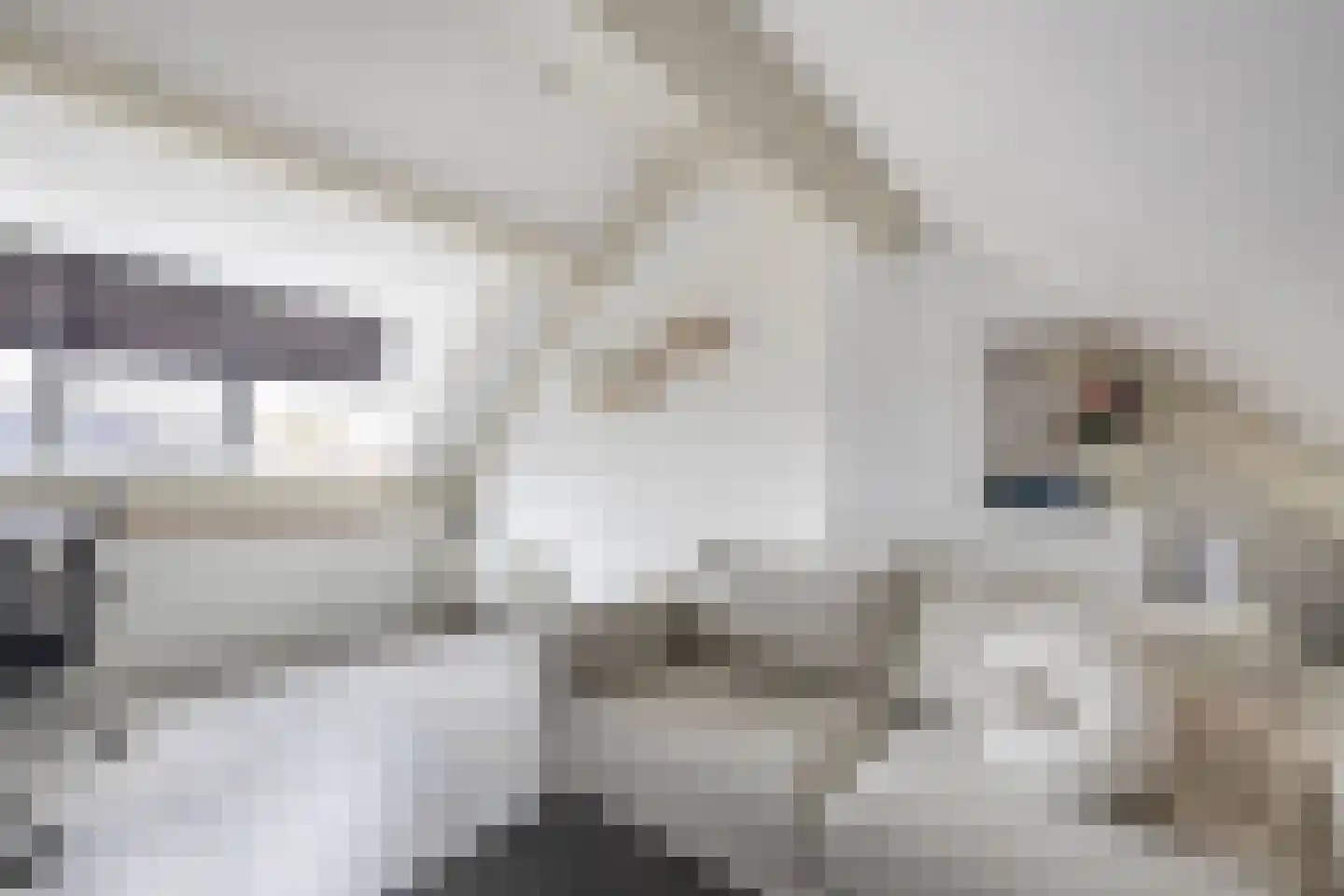 De Sperwer 21 Almelo thumbnail 22