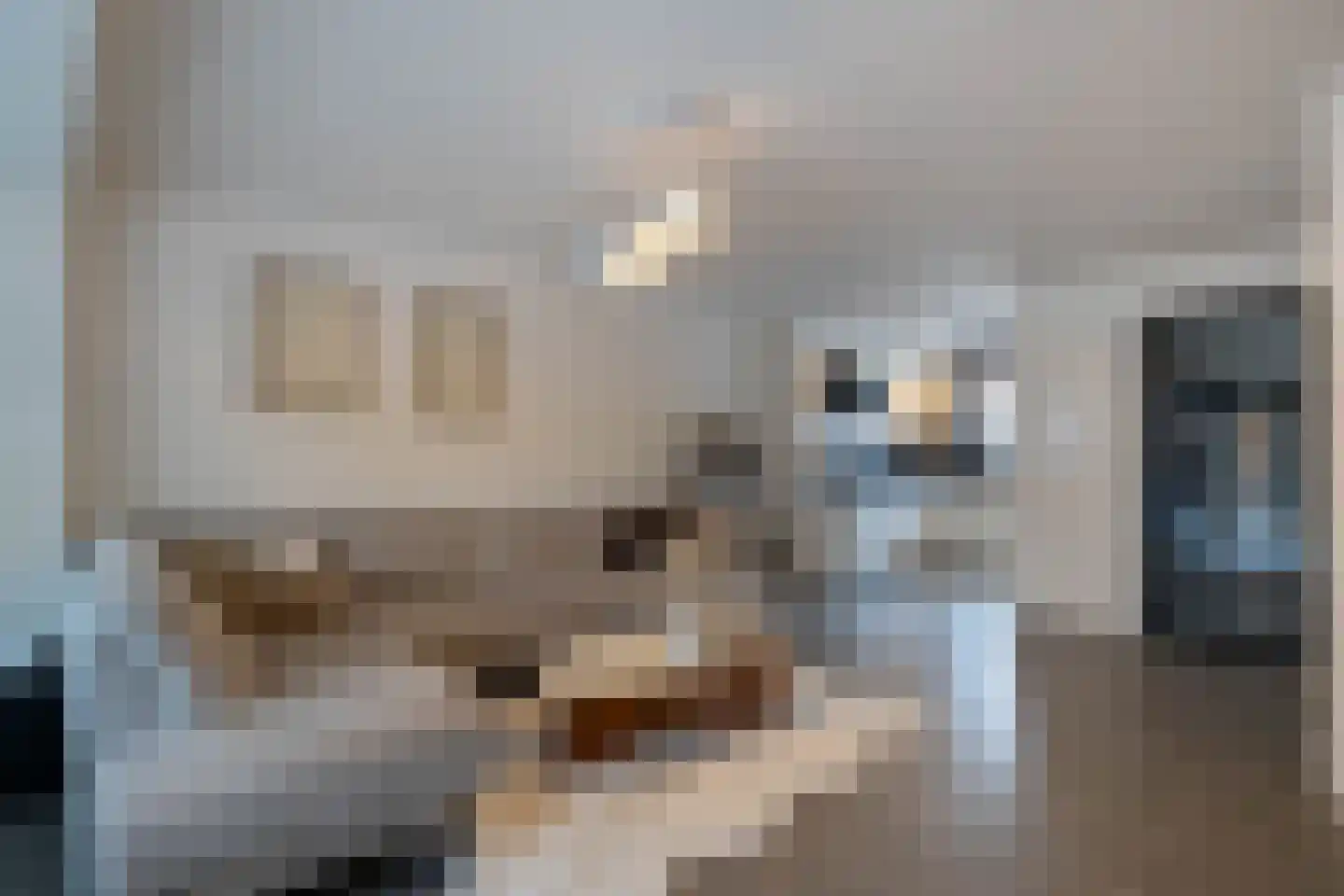De Sperwer 21 Almelo thumbnail 4