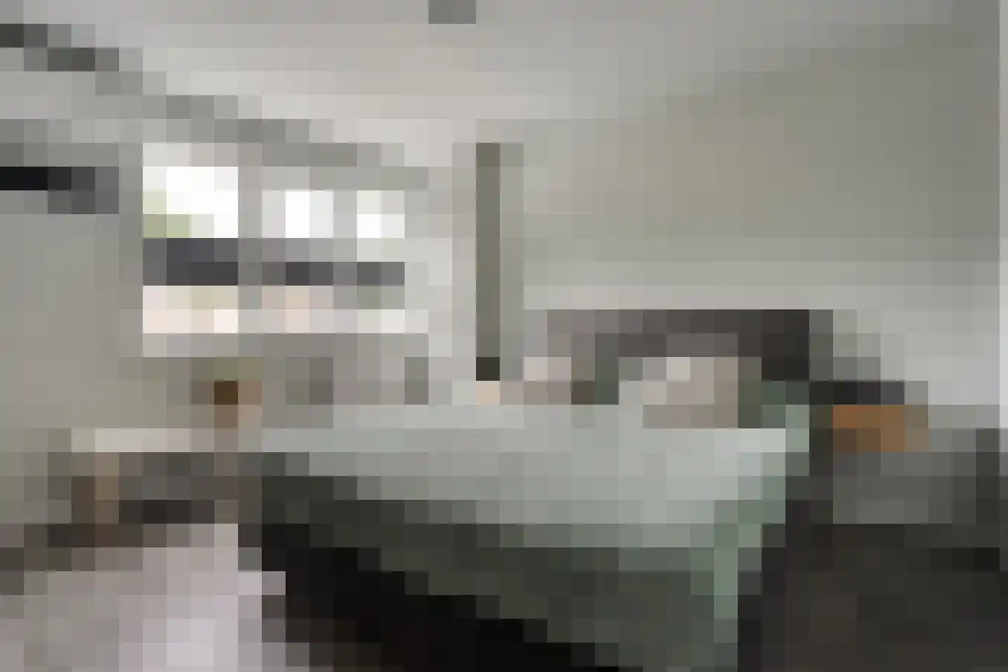 de Sperwer 28 Denekamp thumbnail 11