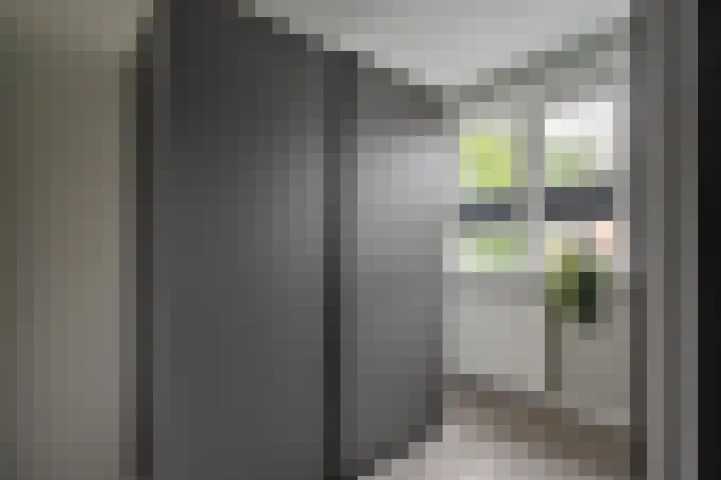 de Sperwer 28 Denekamp thumbnail 12