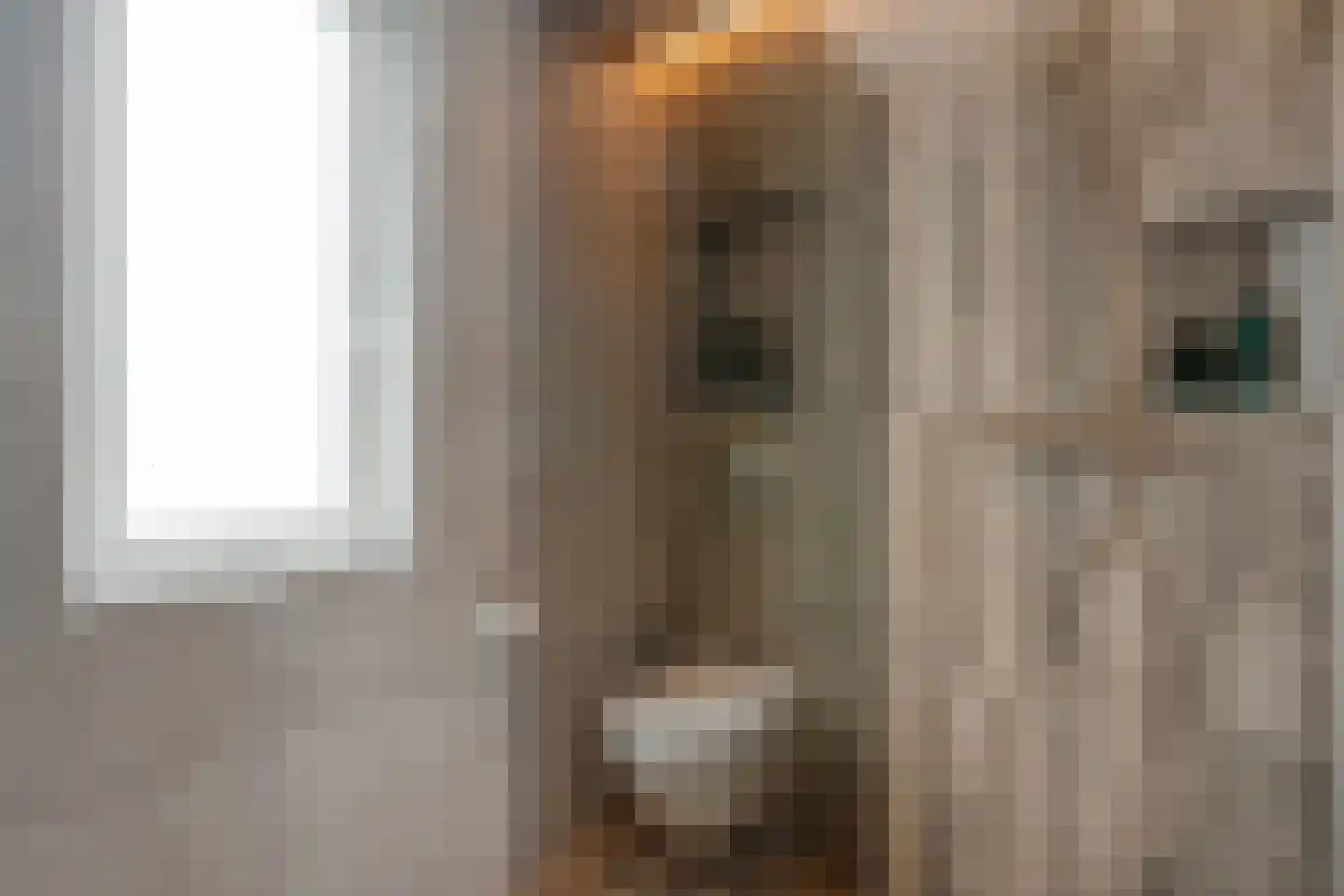 de Sperwer 28 Denekamp thumbnail 15