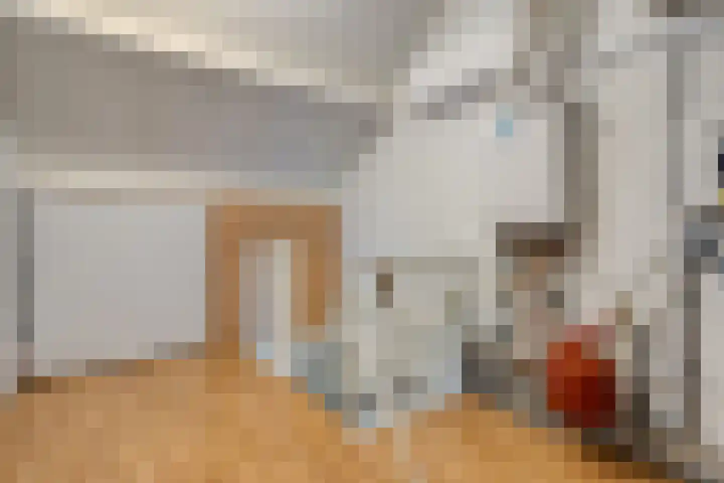 de Sperwer 28 Denekamp thumbnail 17