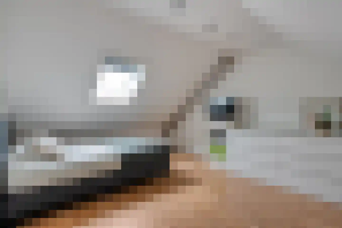 de Sperwer 28 Denekamp thumbnail 18