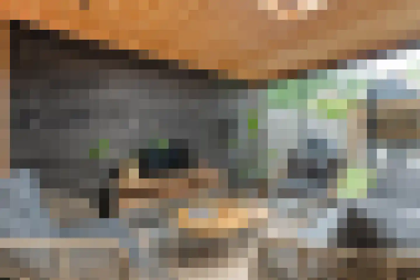 de Sperwer 28 Denekamp thumbnail 19