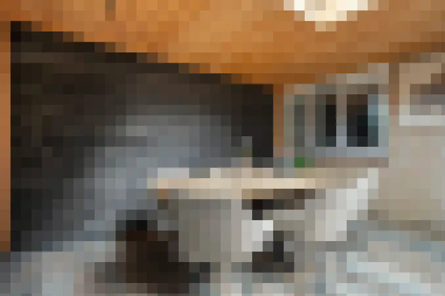 de Sperwer 28 Denekamp thumbnail 20