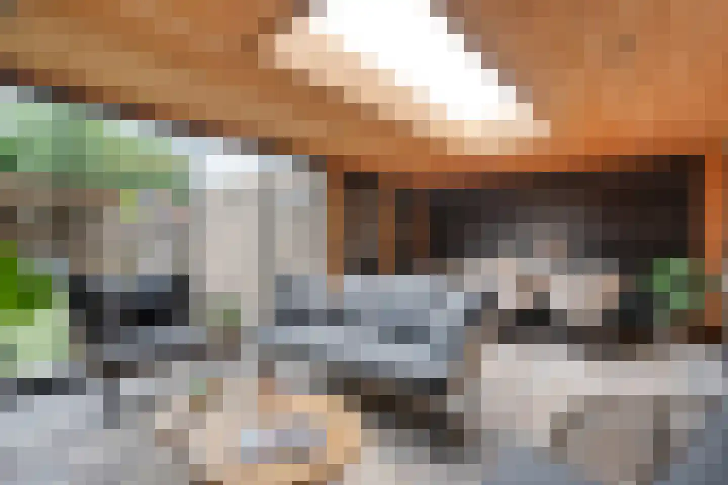 de Sperwer 28 Denekamp thumbnail 21