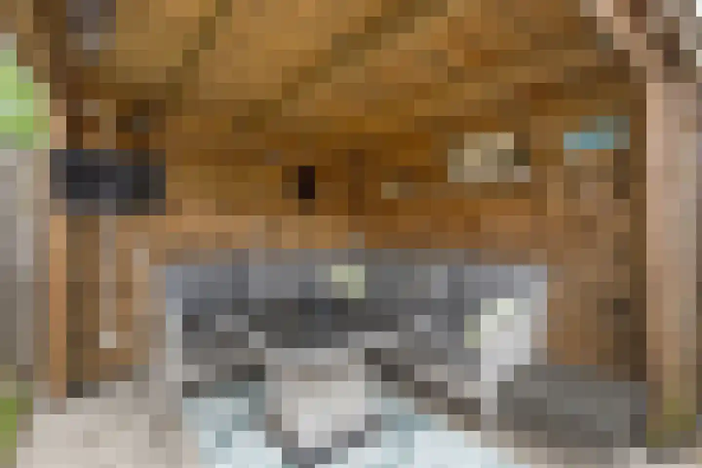 de Sperwer 28 Denekamp thumbnail 23
