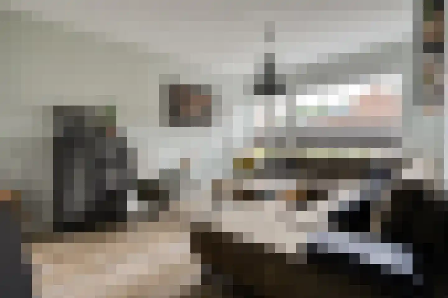 de Sperwer 28 Denekamp thumbnail 5