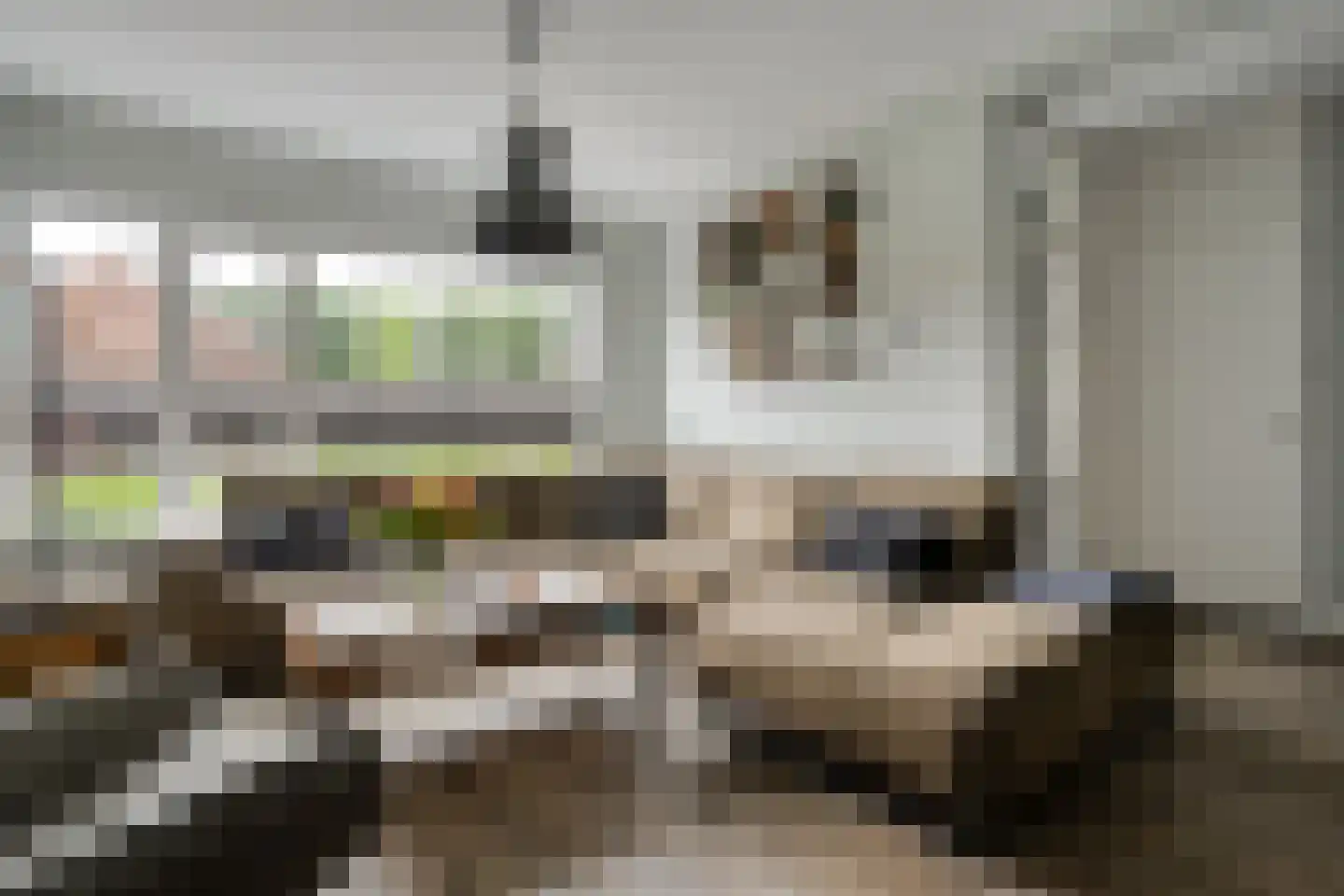 de Sperwer 28 Denekamp thumbnail 6