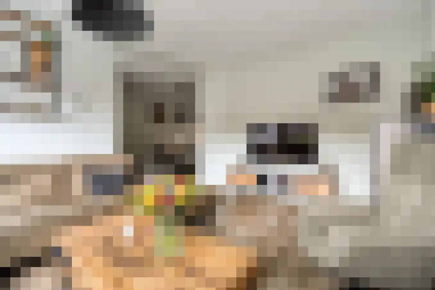 de Sperwer 28 Denekamp thumbnail 7