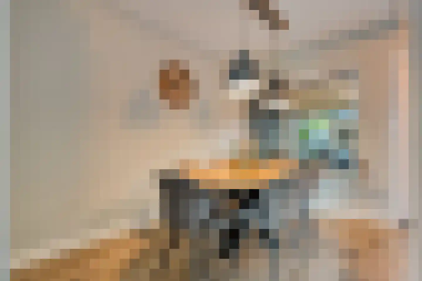 de Sperwer 28 Denekamp thumbnail 8