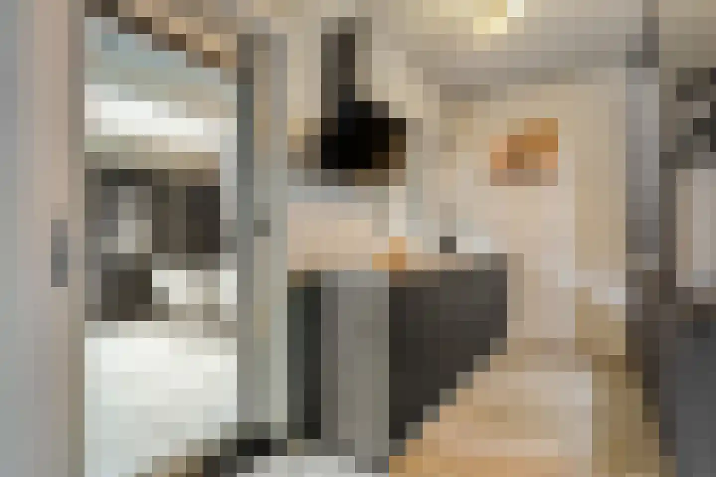 de Sperwer 28 Denekamp thumbnail 9