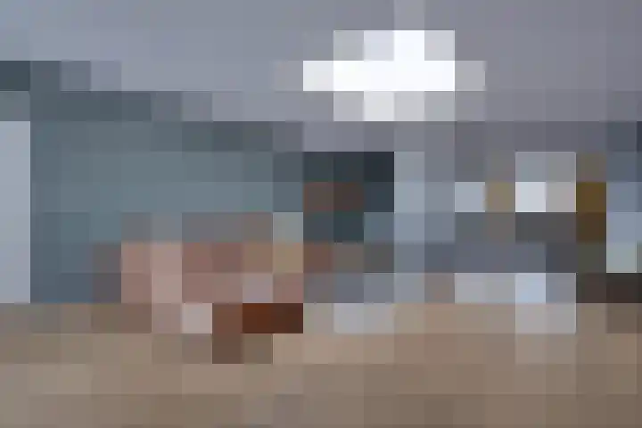 De Sperwer 3 Surhuisterveen thumbnail 10