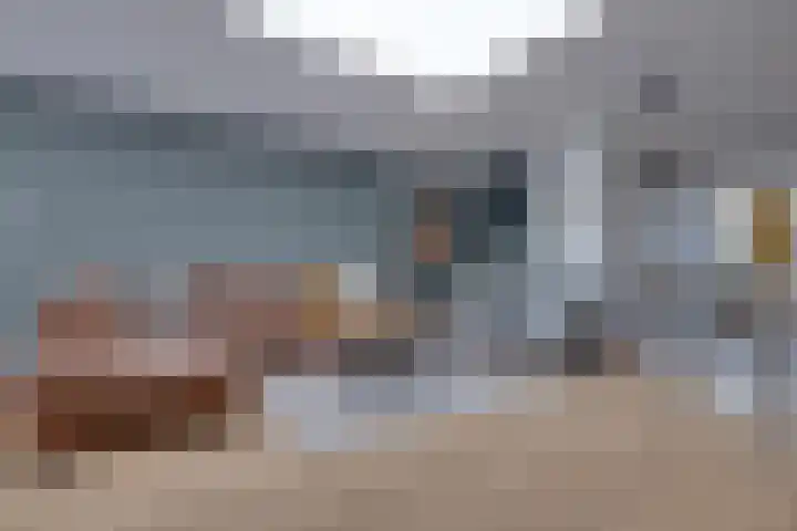 De Sperwer 3 Surhuisterveen thumbnail 11