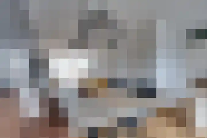 De Sperwer 3 Surhuisterveen thumbnail 13