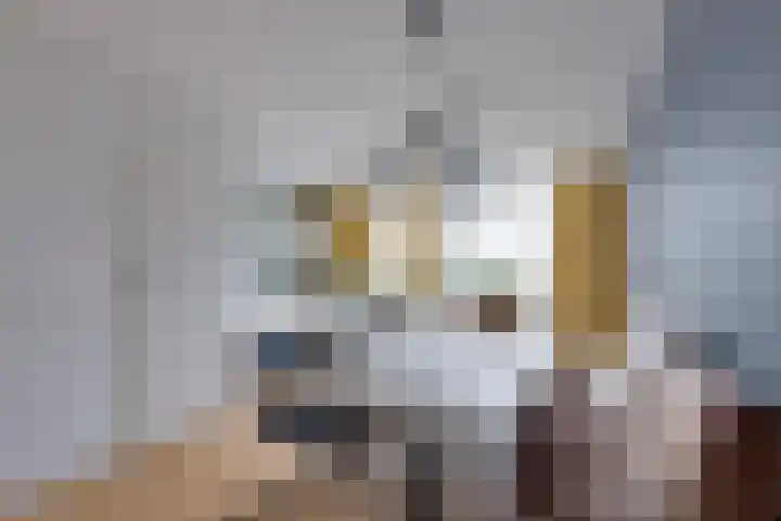 De Sperwer 3 Surhuisterveen thumbnail 15