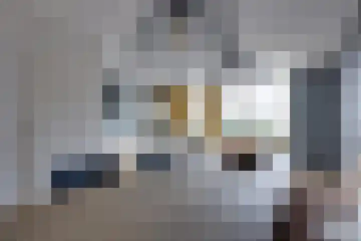 De Sperwer 3 Surhuisterveen thumbnail 16