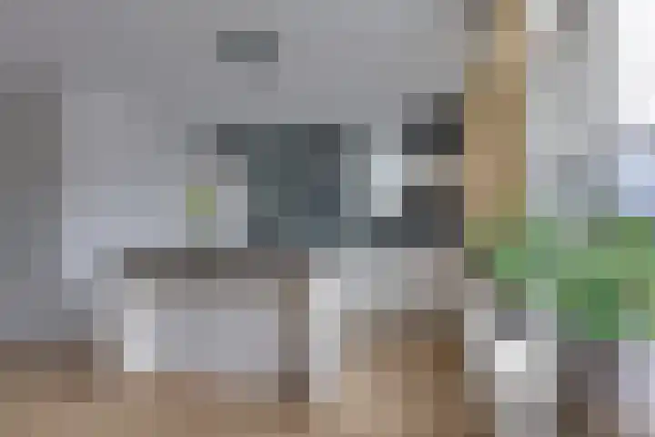 De Sperwer 3 Surhuisterveen thumbnail 17