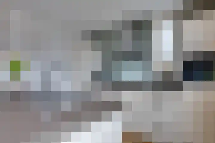 De Sperwer 3 Surhuisterveen thumbnail 18