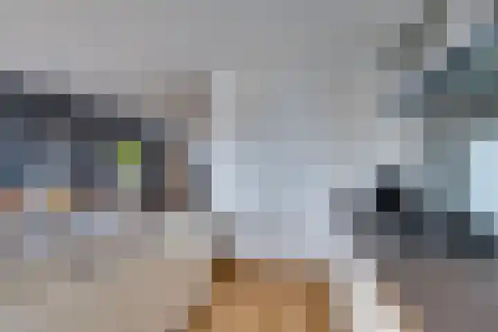 De Sperwer 3 Surhuisterveen thumbnail 19