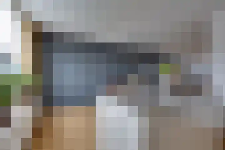 De Sperwer 3 Surhuisterveen thumbnail 20