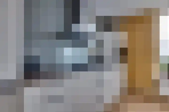 De Sperwer 3 Surhuisterveen thumbnail 21