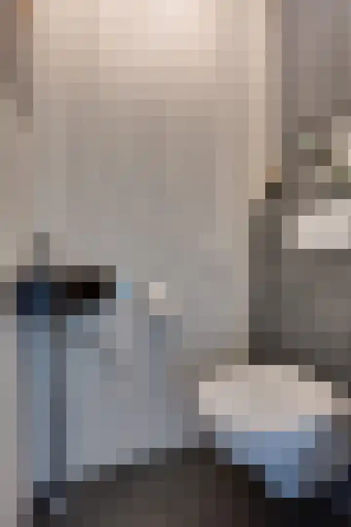 De Sperwer 3 Surhuisterveen thumbnail 23