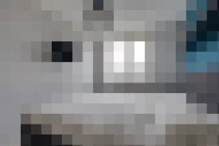 De Sperwer 3 Surhuisterveen thumbnail 32