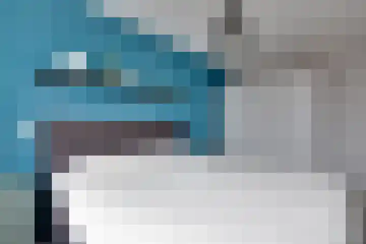 De Sperwer 3 Surhuisterveen thumbnail 33