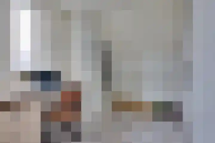 De Sperwer 3 Surhuisterveen thumbnail 34