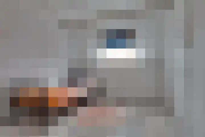 De Sperwer 3 Surhuisterveen thumbnail 36
