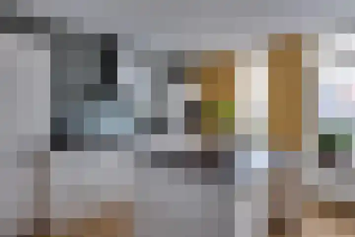 De Sperwer 3 Surhuisterveen thumbnail 4