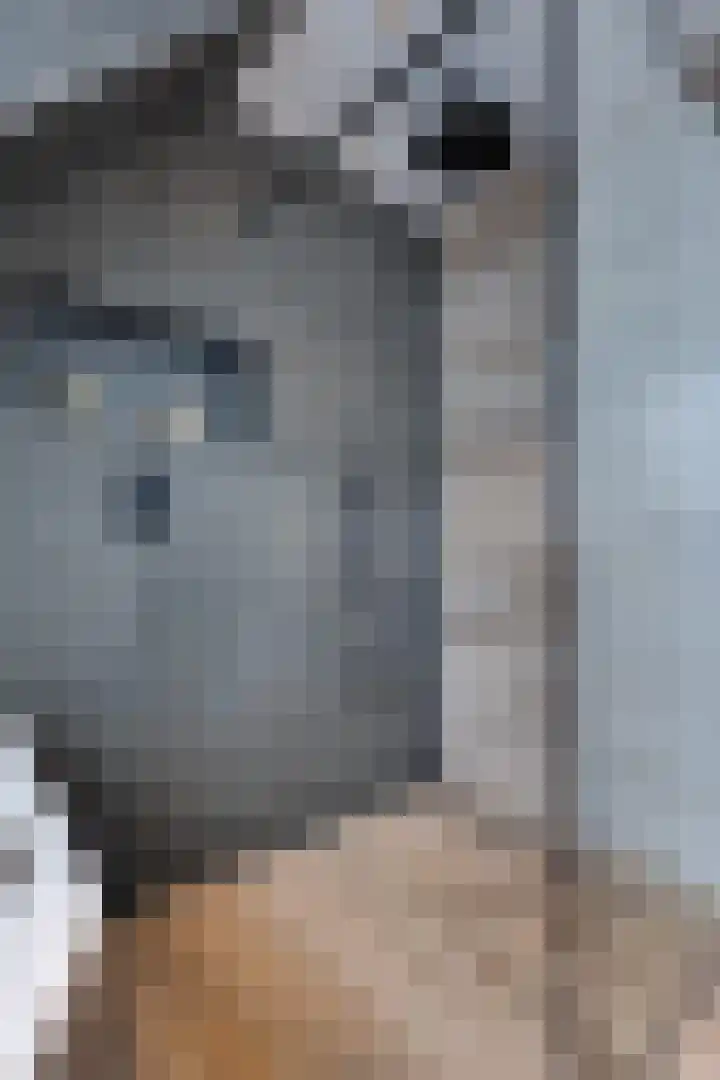 De Sperwer 3 Surhuisterveen thumbnail 40