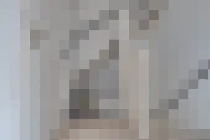 De Sperwer 3 Surhuisterveen thumbnail 41