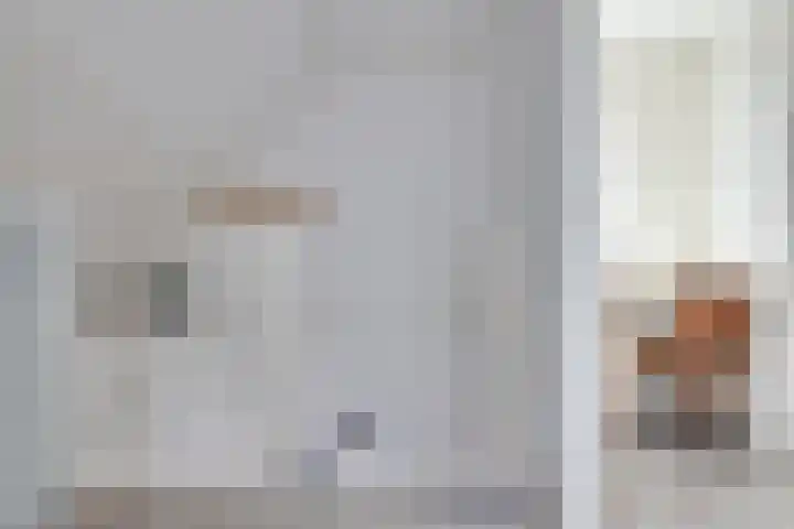 De Sperwer 3 Surhuisterveen thumbnail 42