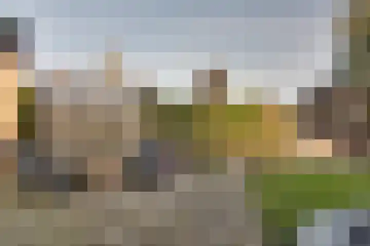 De Sperwer 3 Surhuisterveen thumbnail 43