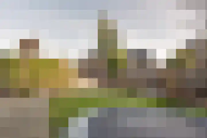 De Sperwer 3 Surhuisterveen thumbnail 44